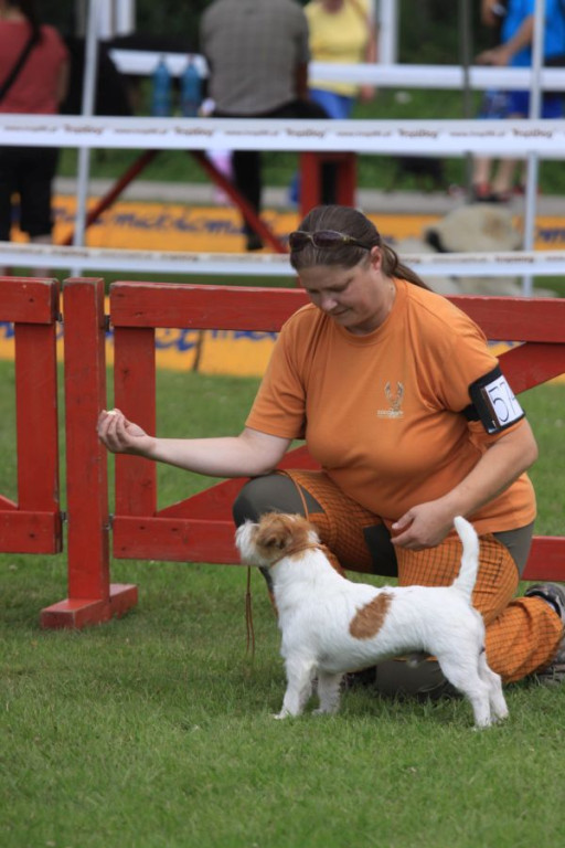 Międzynarodowa Wystawa Psów w Kościelisku