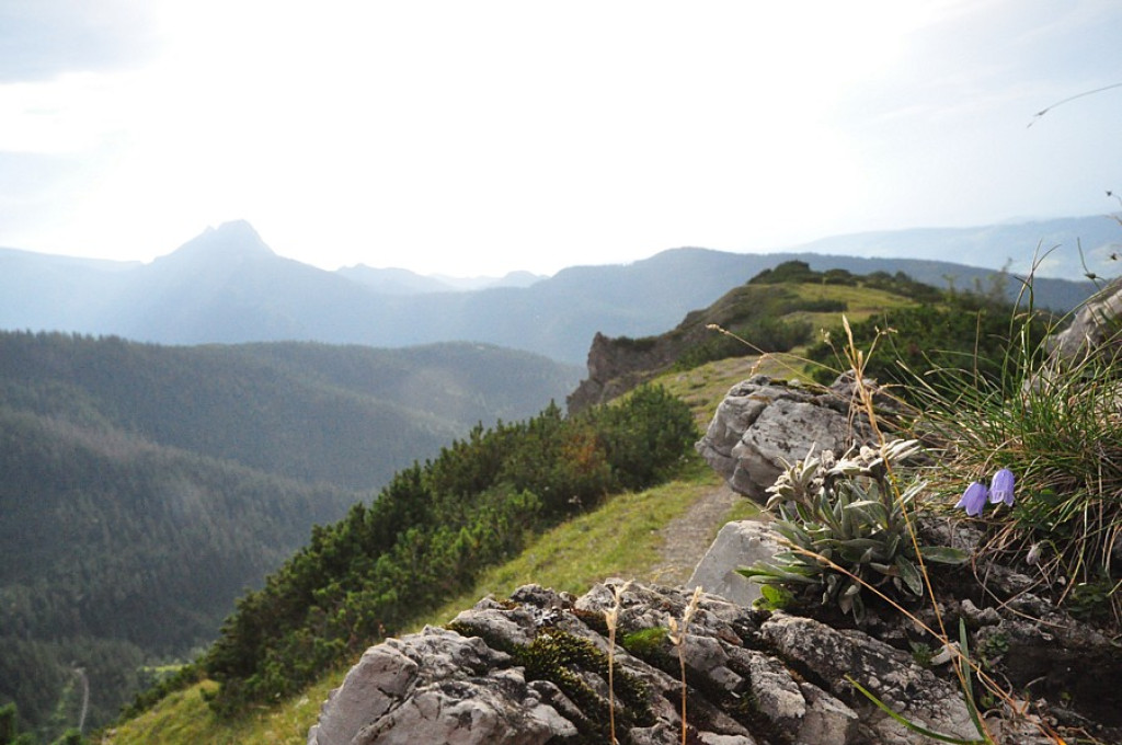 Z Palenicy Białczańskiej na Halę Gąsienicową