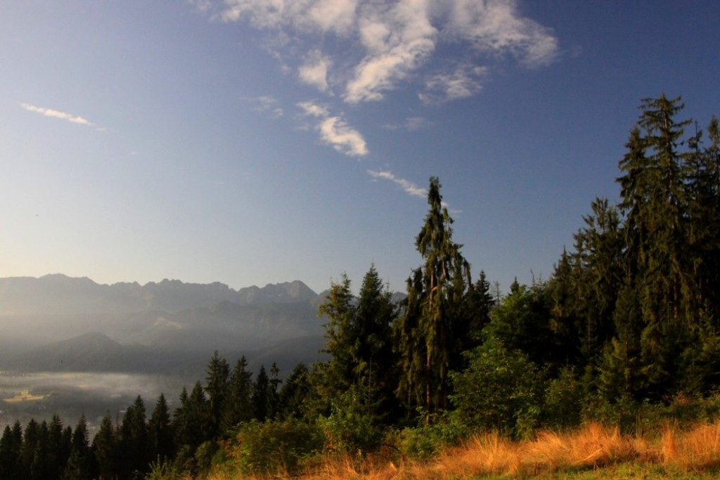 Tatry, mgły i rosa o poranku
