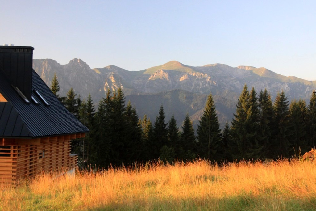 Tatry, mgły i rosa o poranku