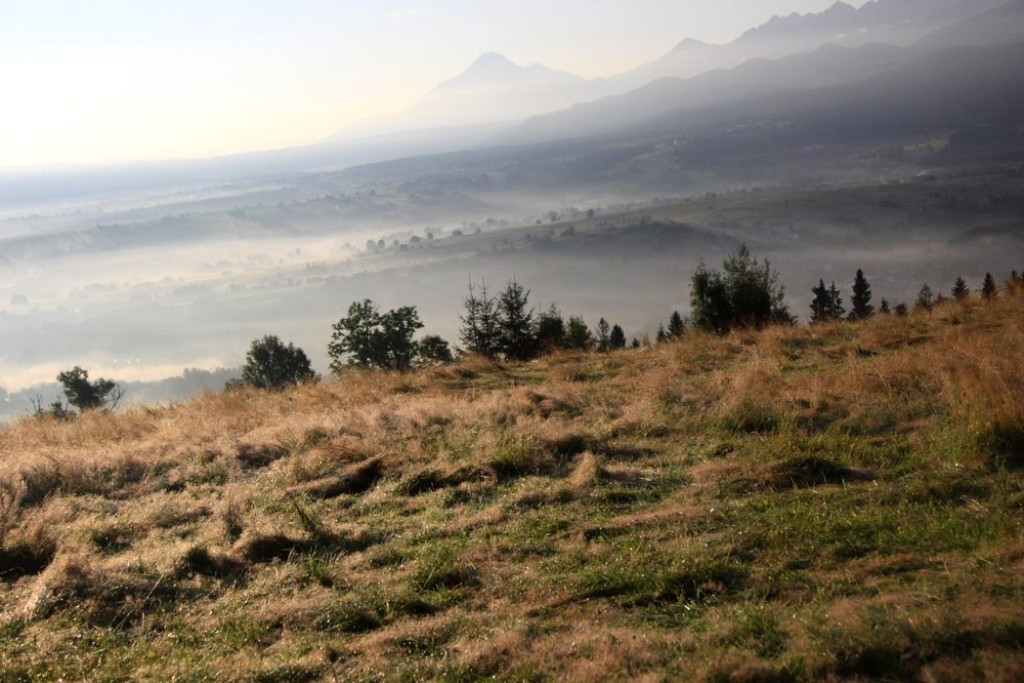 Tatry, mgły i rosa o poranku