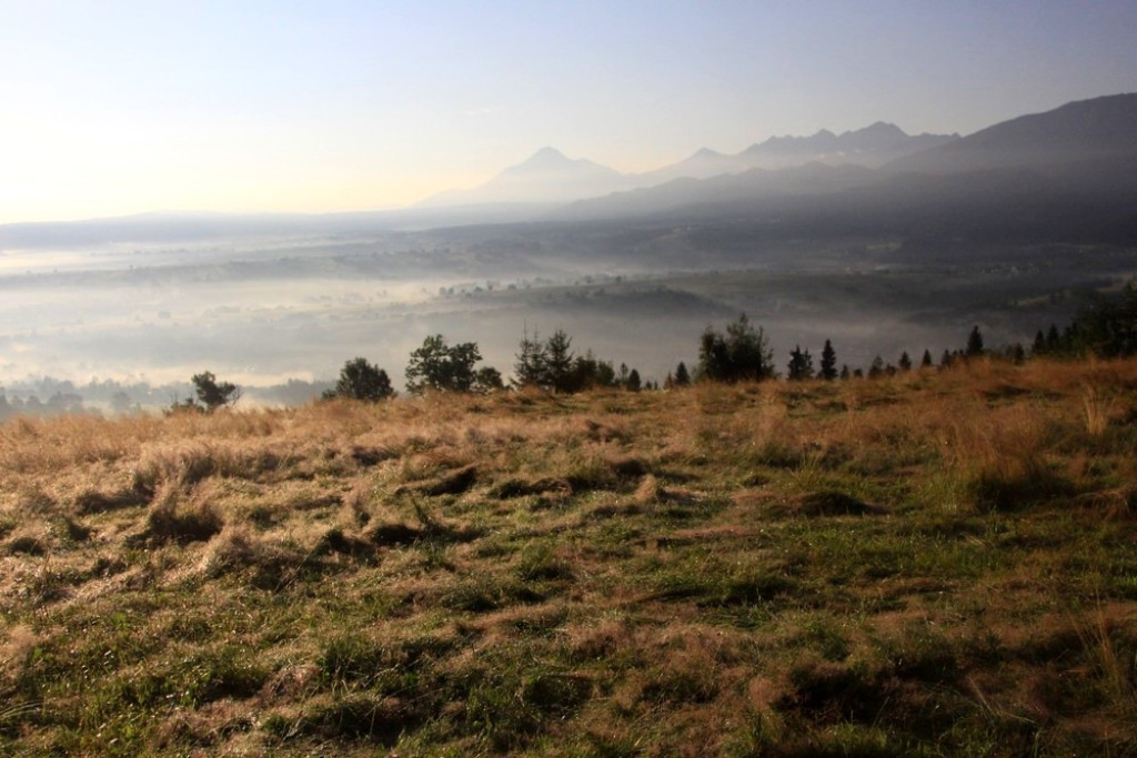 Tatry, mgły i rosa o poranku