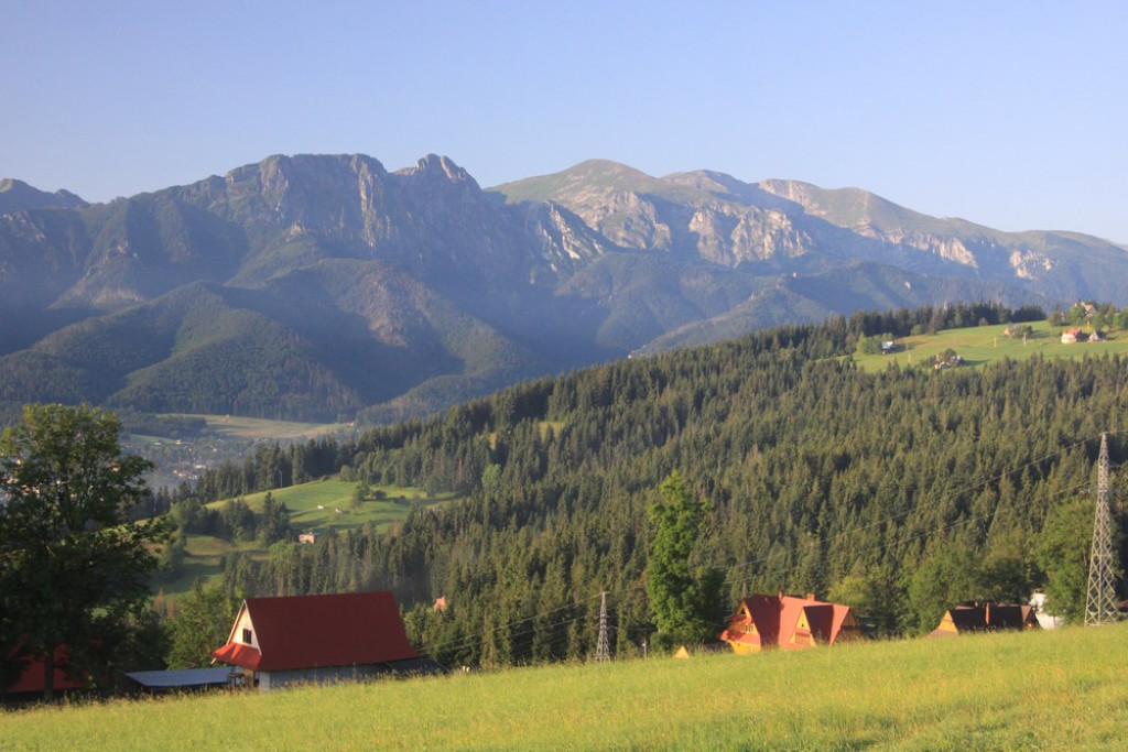 Tatry, mgły i rosa o poranku
