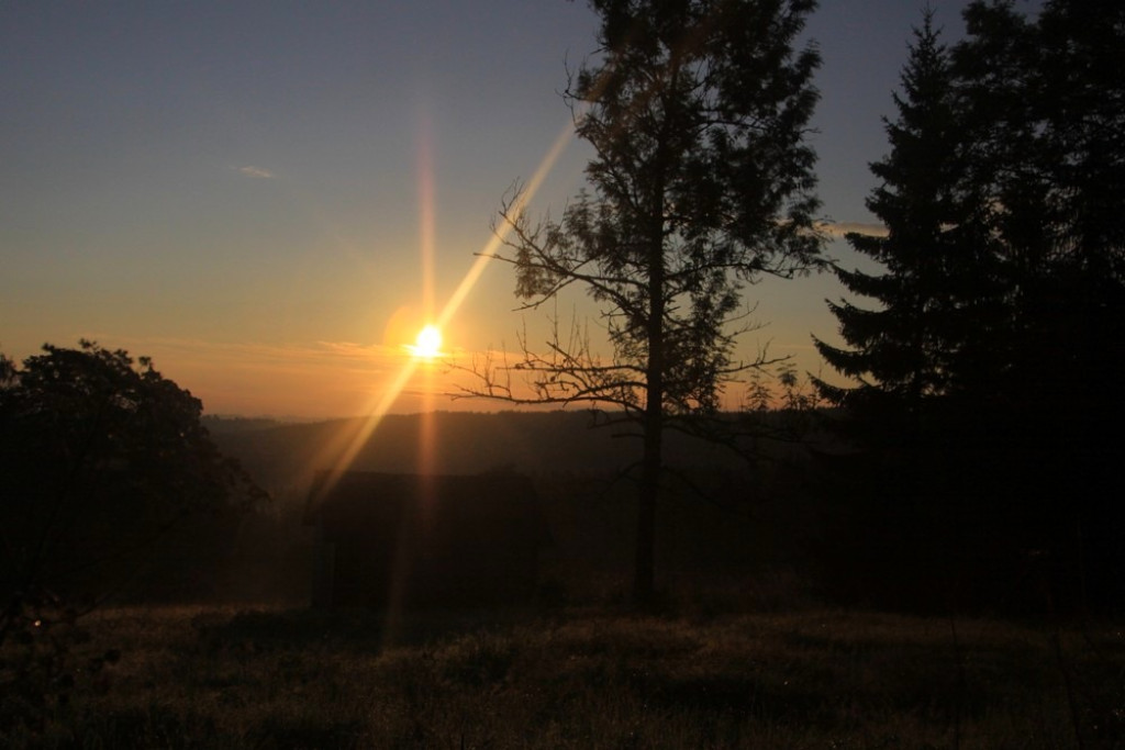 Tatry, mgły i rosa o poranku
