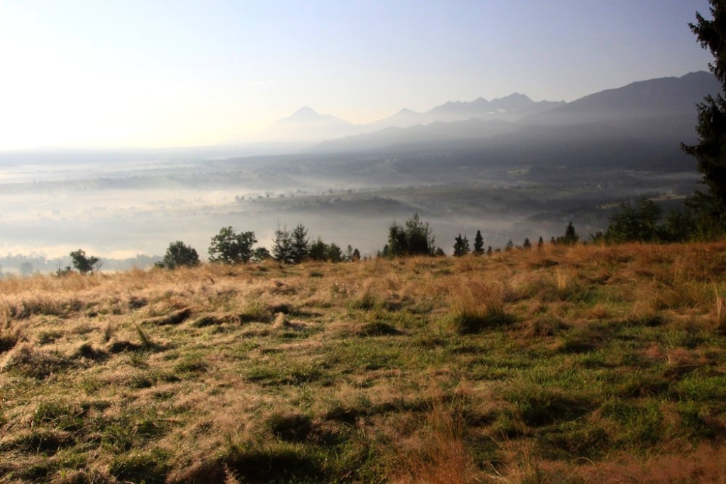 Tatry, mgły i rosa o poranku