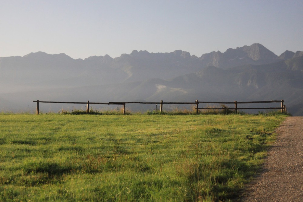 Tatry, mgły i rosa o poranku
