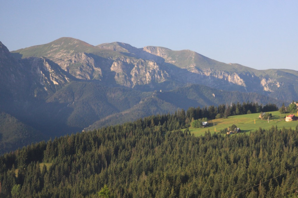 Tatry, mgły i rosa o poranku