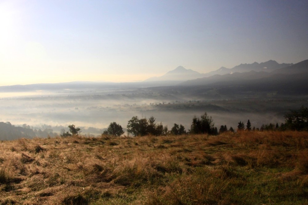 Tatry, mgły i rosa o poranku