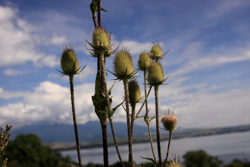 Liptowska Mara i Celtowie