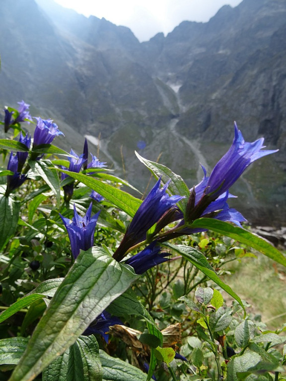 Tatrzańskie Stawy: Morskie Oko i Czarny Staw pod Rysami