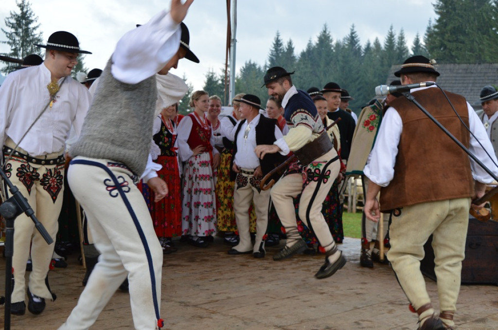 Polaniarski osod w deszczu