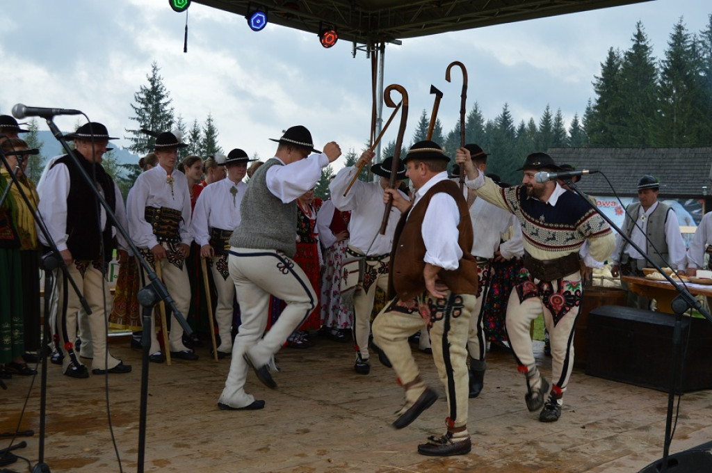 Polaniarski osod w deszczu