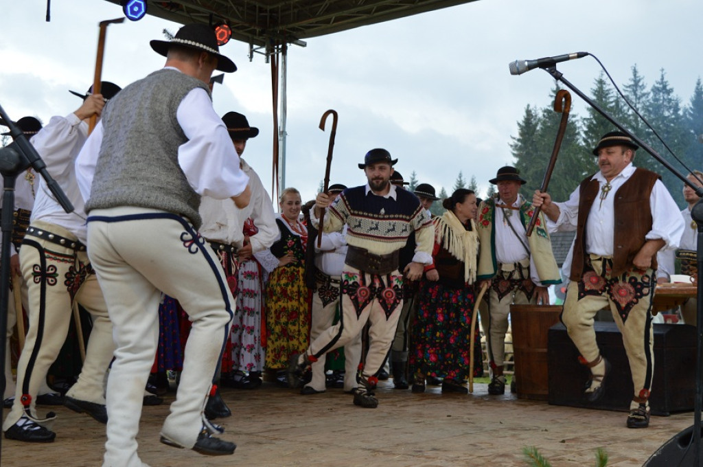 Polaniarski osod w deszczu