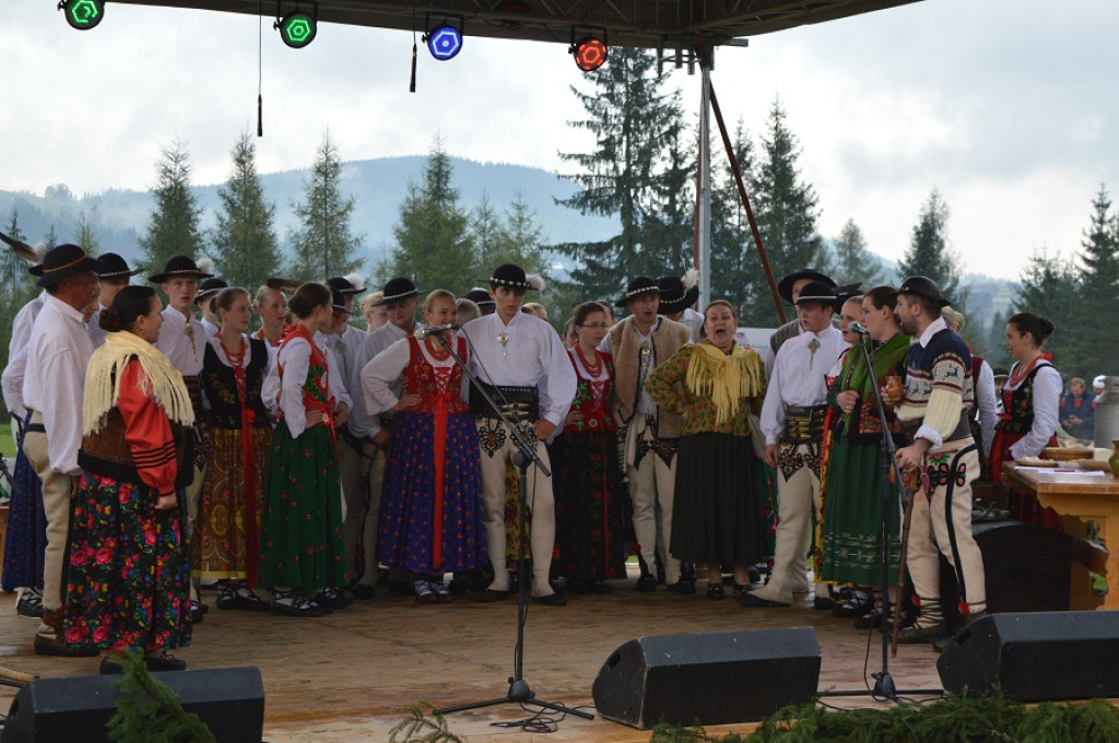 Polaniarski osod w deszczu