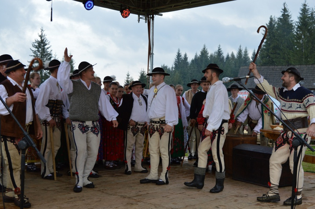Polaniarski osod w deszczu