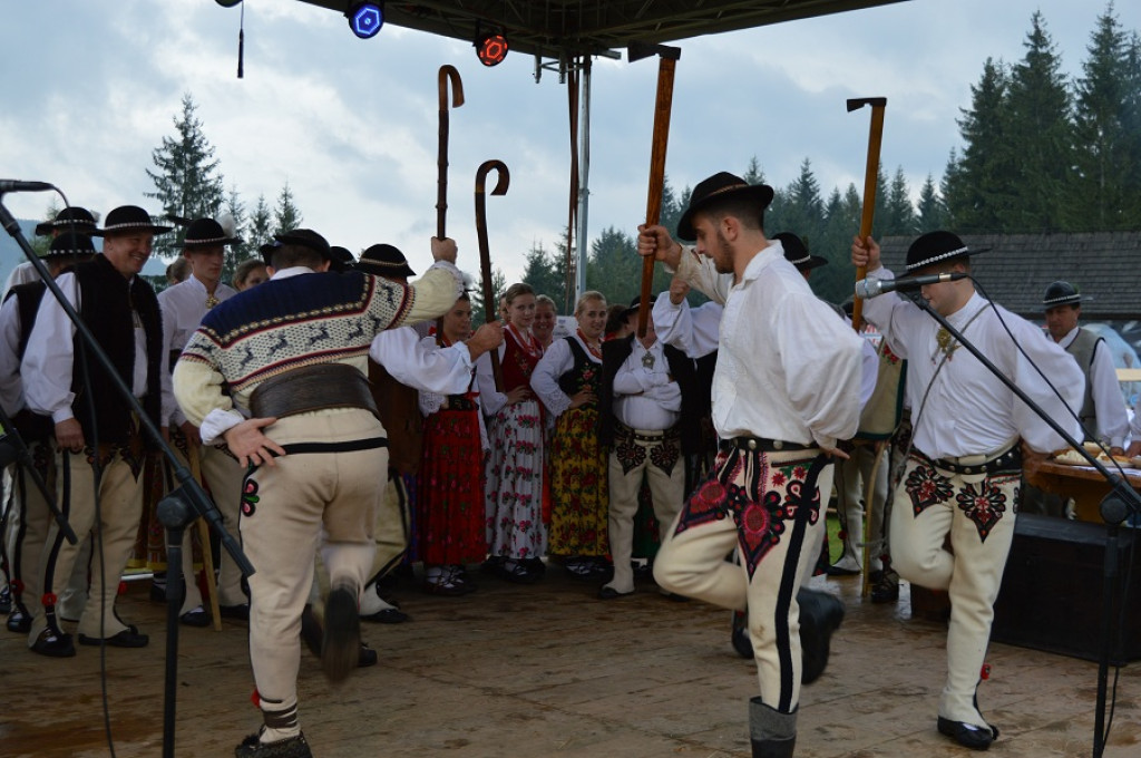 Polaniarski osod w deszczu