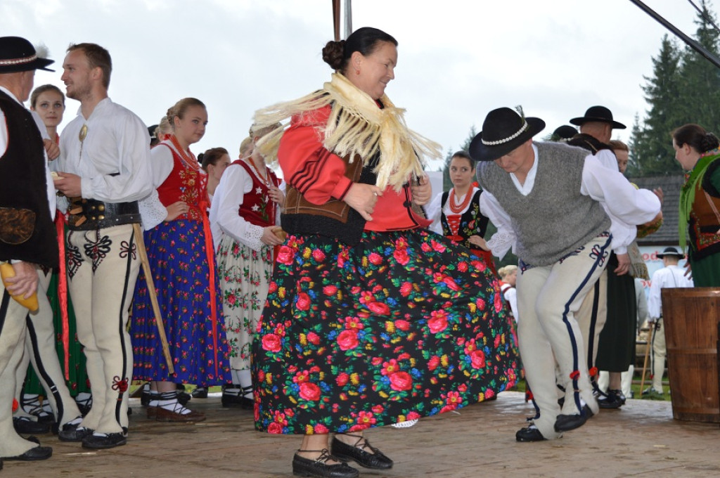 Polaniarski osod w deszczu