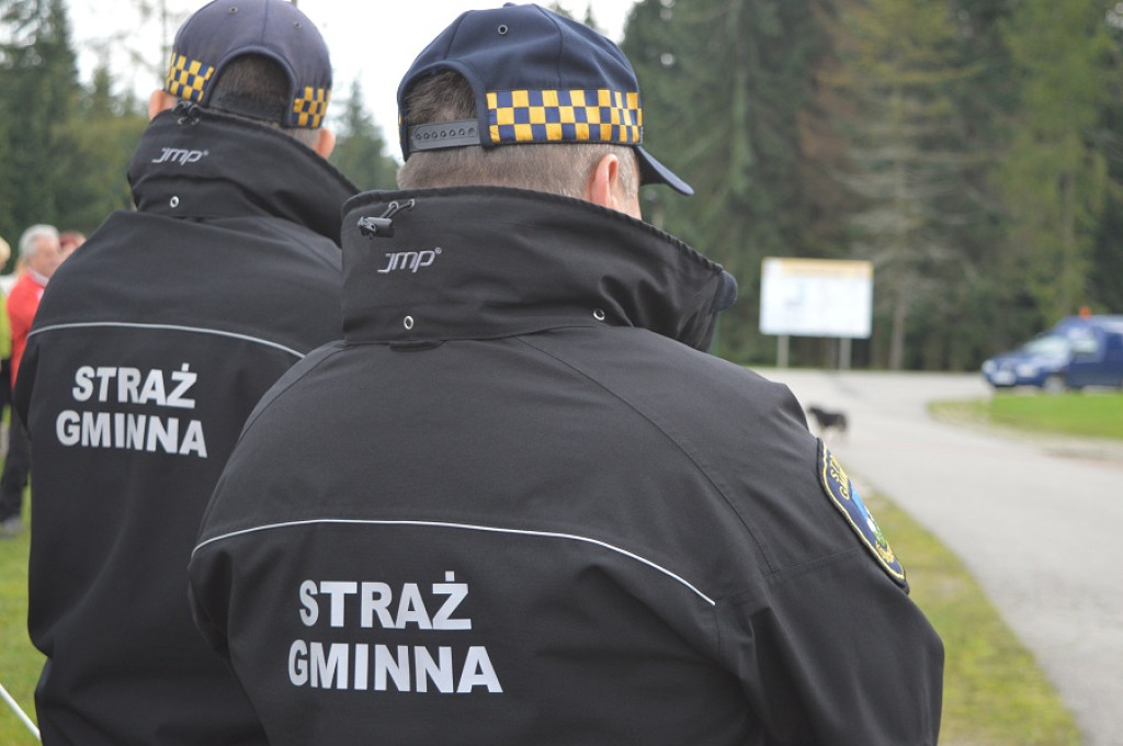 Pokazowe ćwiczenia strażaków