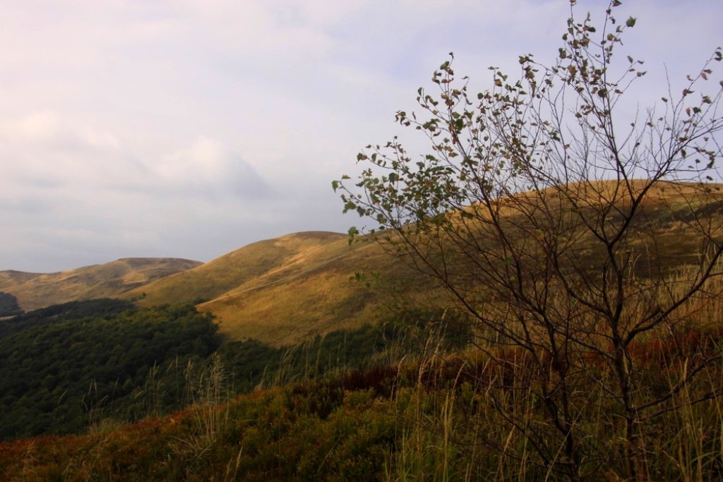 Wrześniowe Bieszczady: Solina i Tarnica