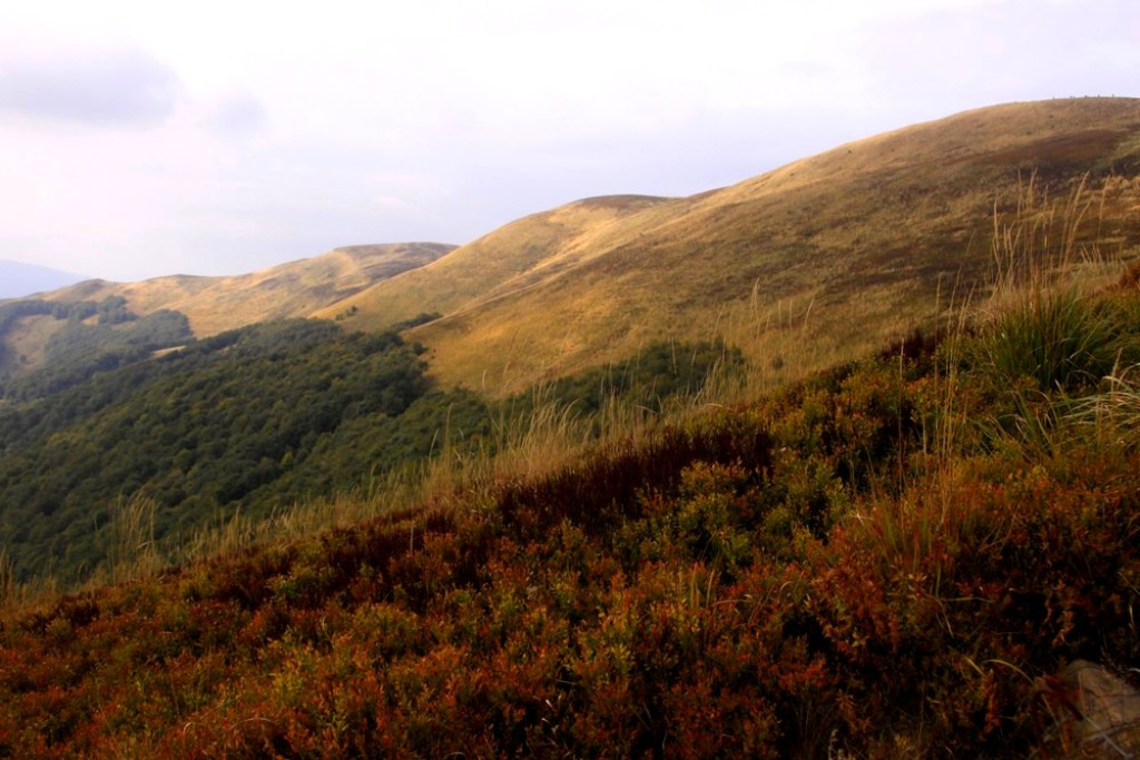 Wrześniowe Bieszczady: Solina i Tarnica