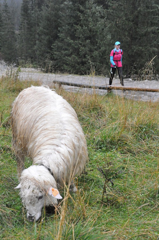Ultramaraton Tatrzański