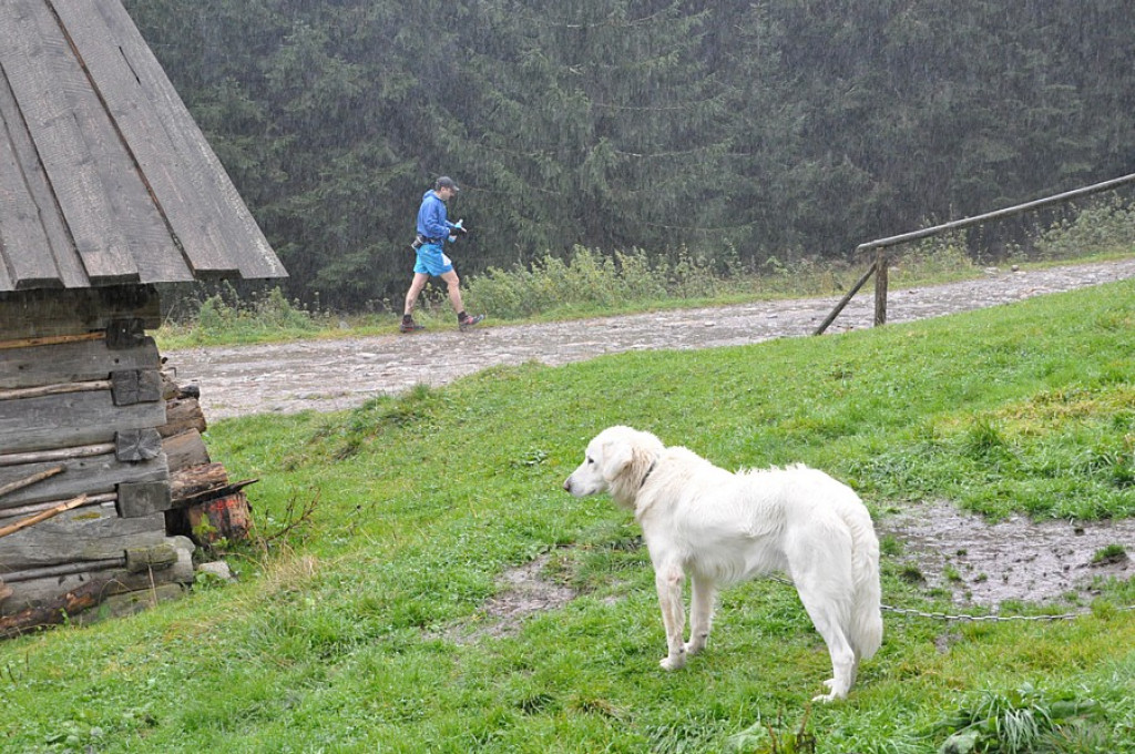 Ultramaraton Tatrzański