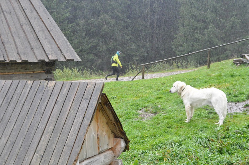 Ultramaraton Tatrzański
