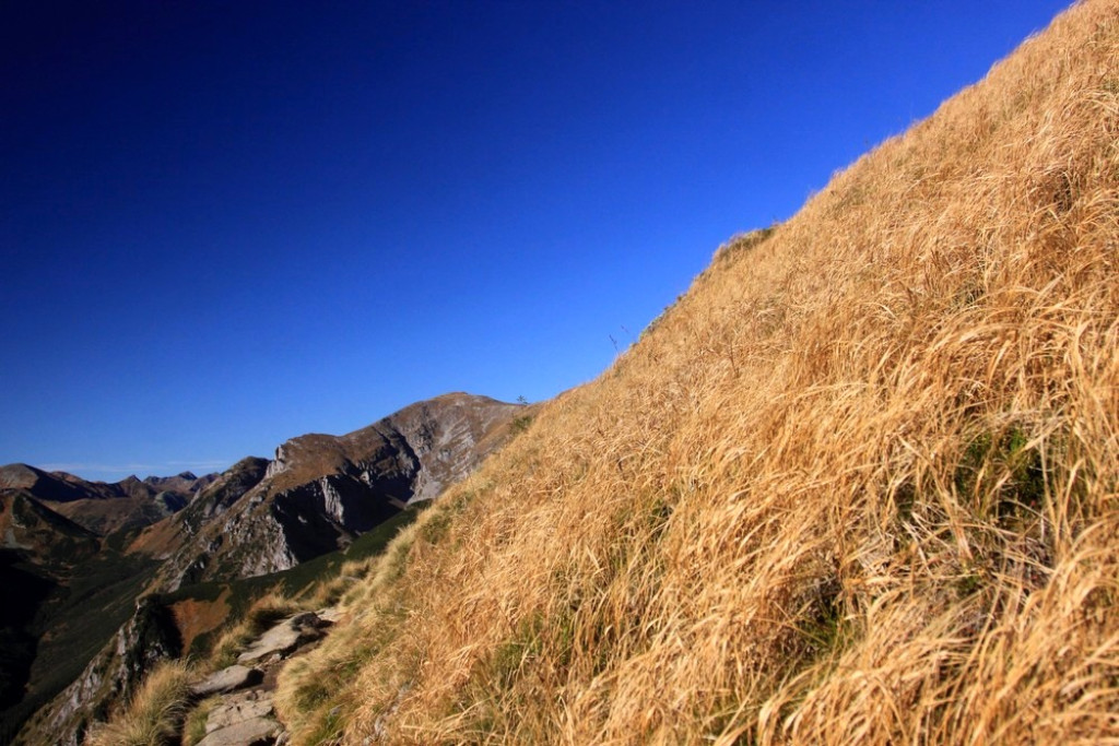 Krajobrazowa uczta - z Kasprowego na Czerwone Wierchy