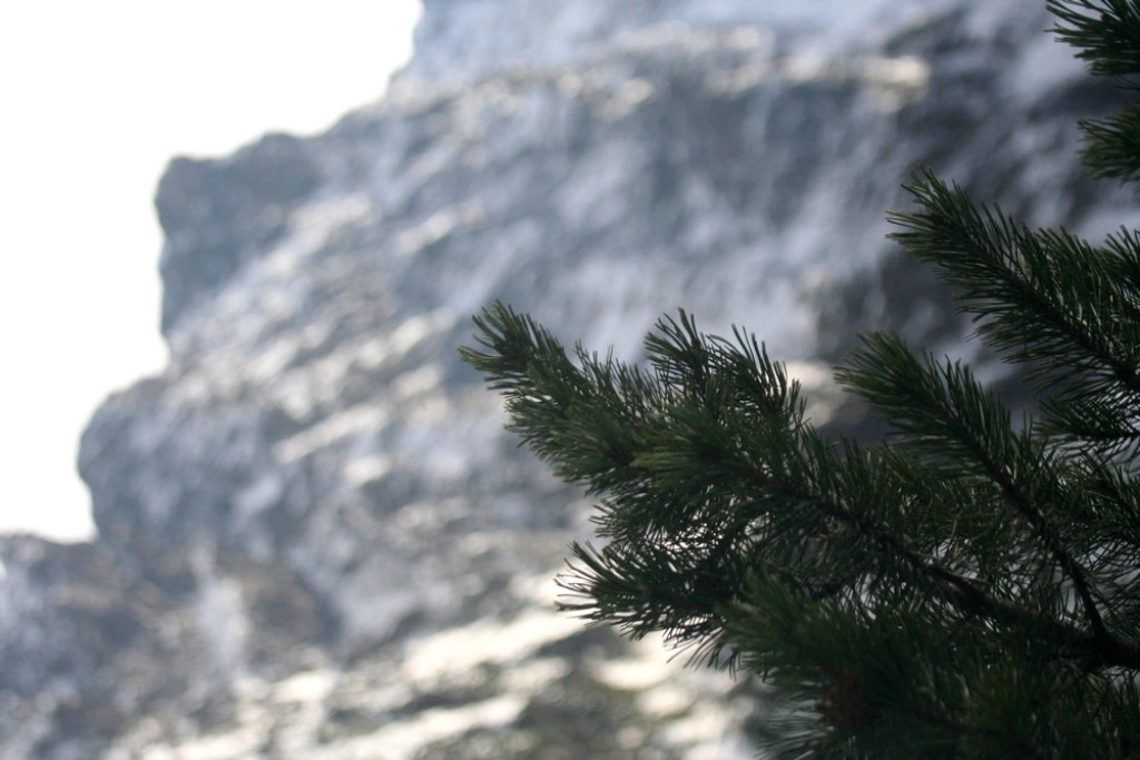 Opustoszałe Morskie Oko i Czarny Staw pod Rysami