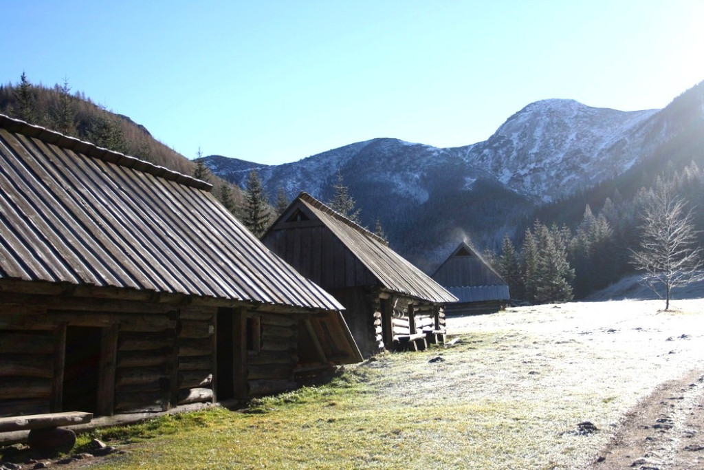 Czarny Staw i Hala Gąsienicowa