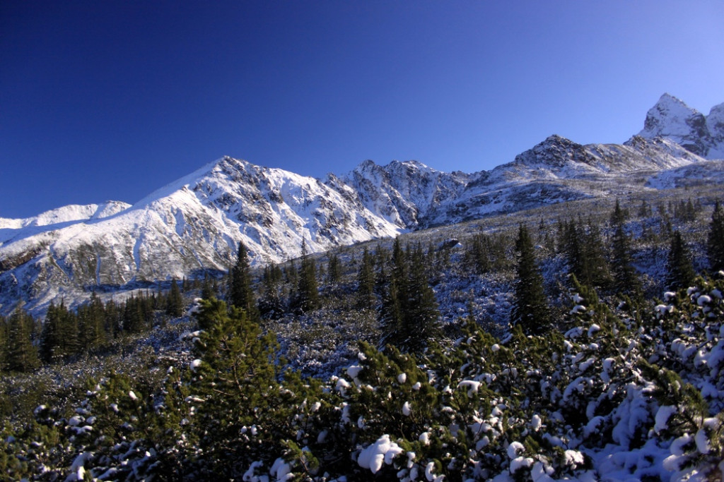Tatry: Z Brzezin na Gąsienicową i Zielony Staw