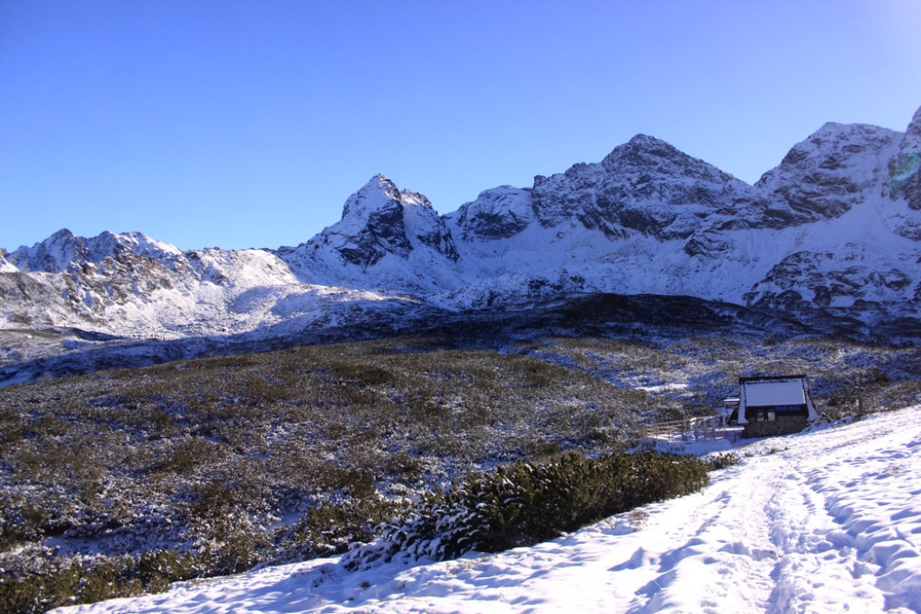 Tatry: Z Brzezin na Gąsienicową i Zielony Staw