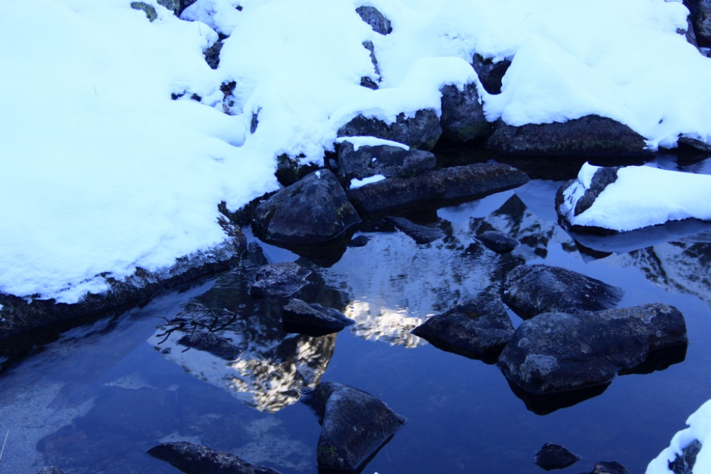 Tatry: Z Brzezin na Gąsienicową i Zielony Staw