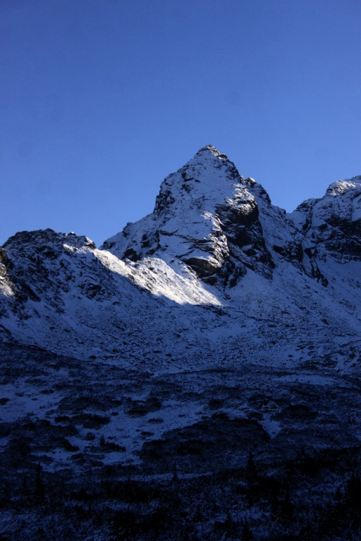 Tatry: Z Brzezin na Gąsienicową i Zielony Staw