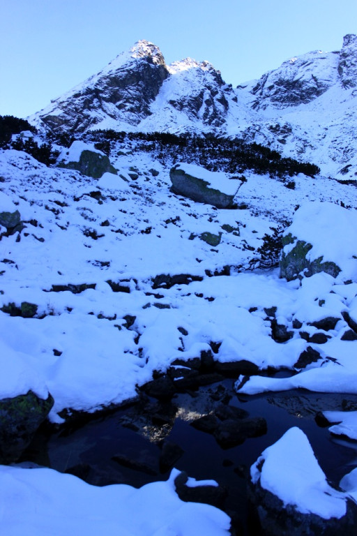 Tatry: Z Brzezin na Gąsienicową i Zielony Staw
