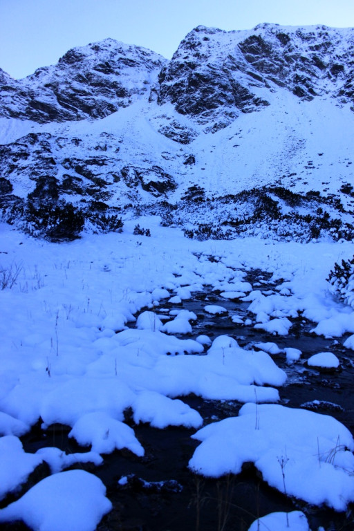 Tatry: Z Brzezin na Gąsienicową i Zielony Staw