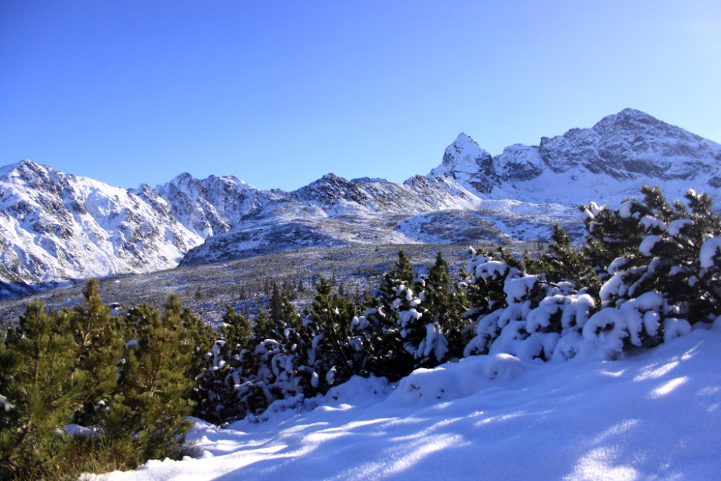 Tatry: Z Brzezin na Gąsienicową i Zielony Staw