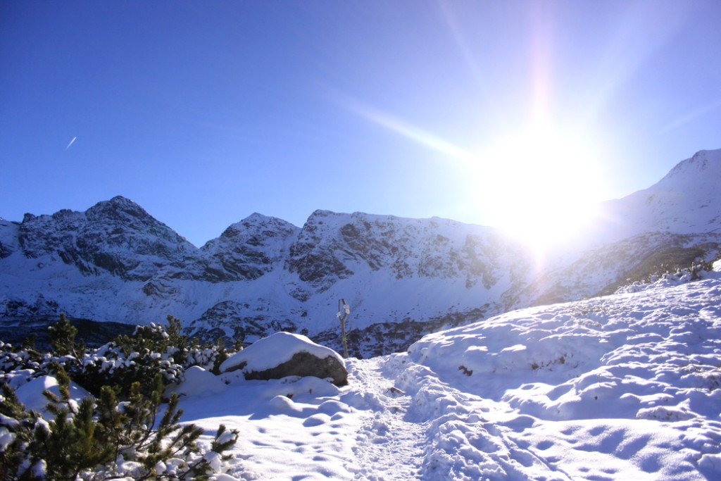 Tatry: Z Brzezin na Gąsienicową i Zielony Staw