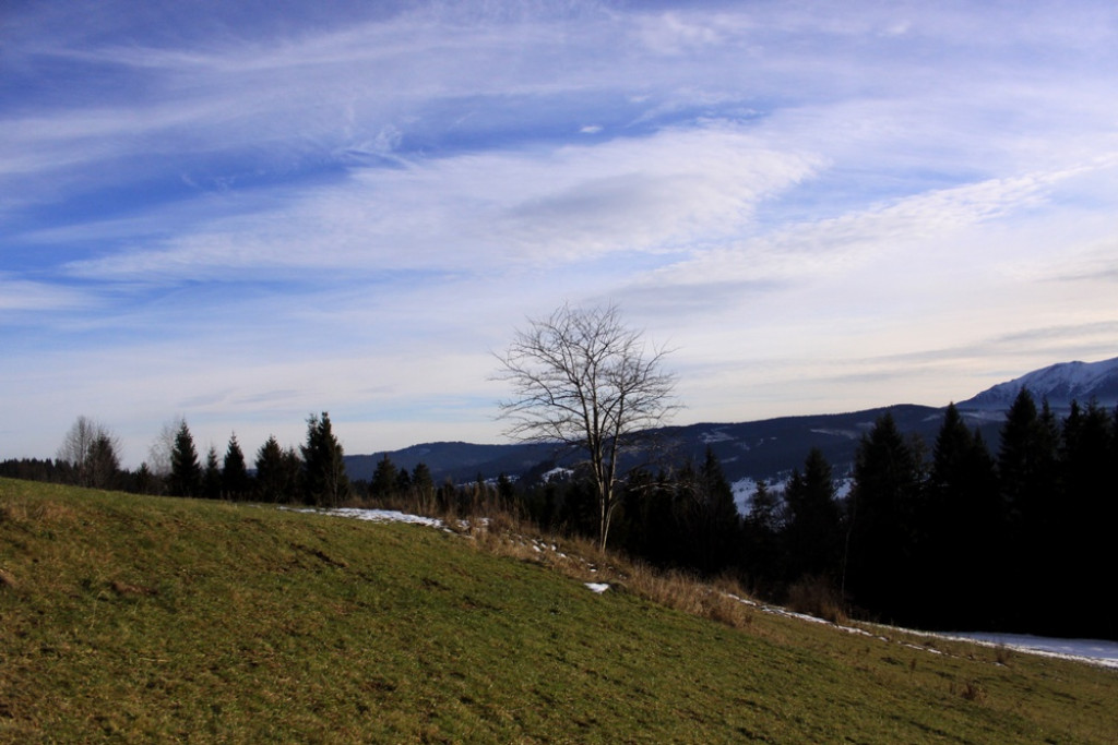 Tatry z Łapszanki