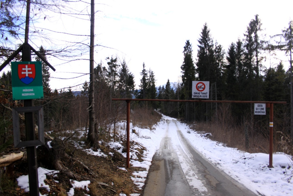 Tatry z Łapszanki