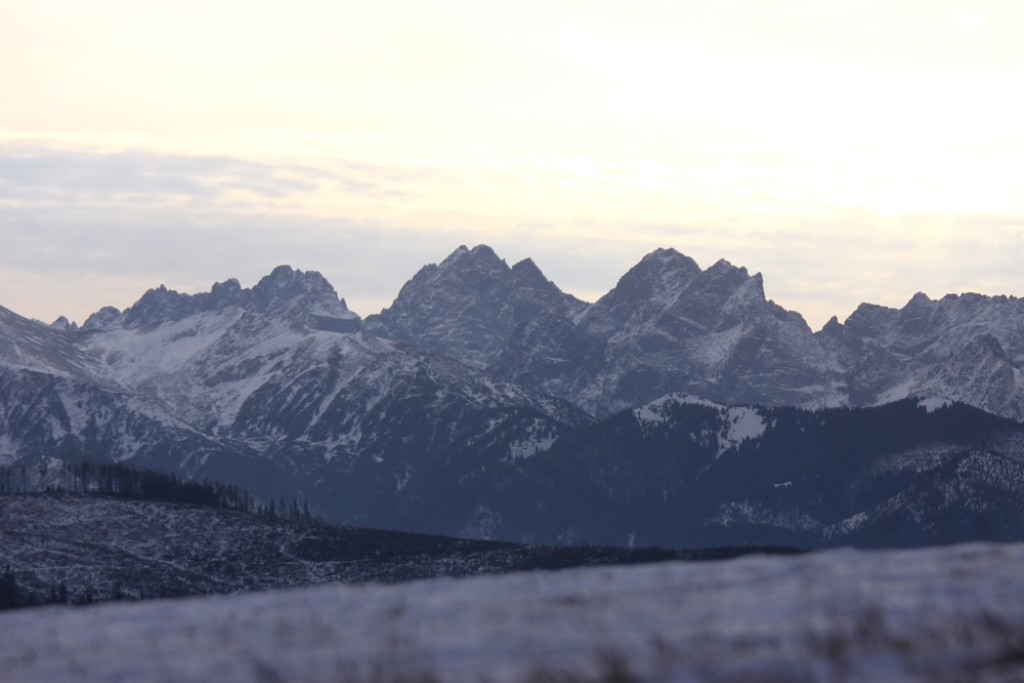 Tatry z Łapszanki