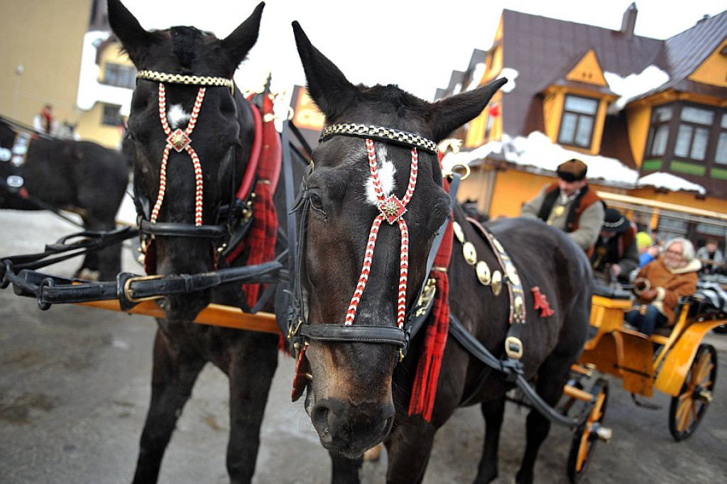 43. Góralski Karnawał w Bukowinie Tatrzańskiej