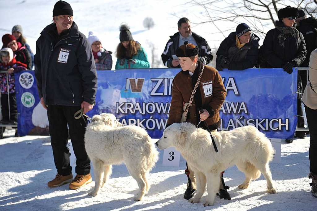 43. Góralski Karnawał w Bukowinie Tatrzańskiej