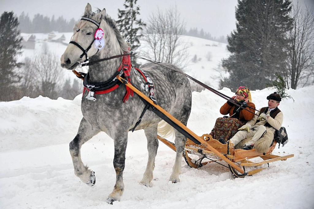 Kumoterki w Bukowinie Tatrzańskiej