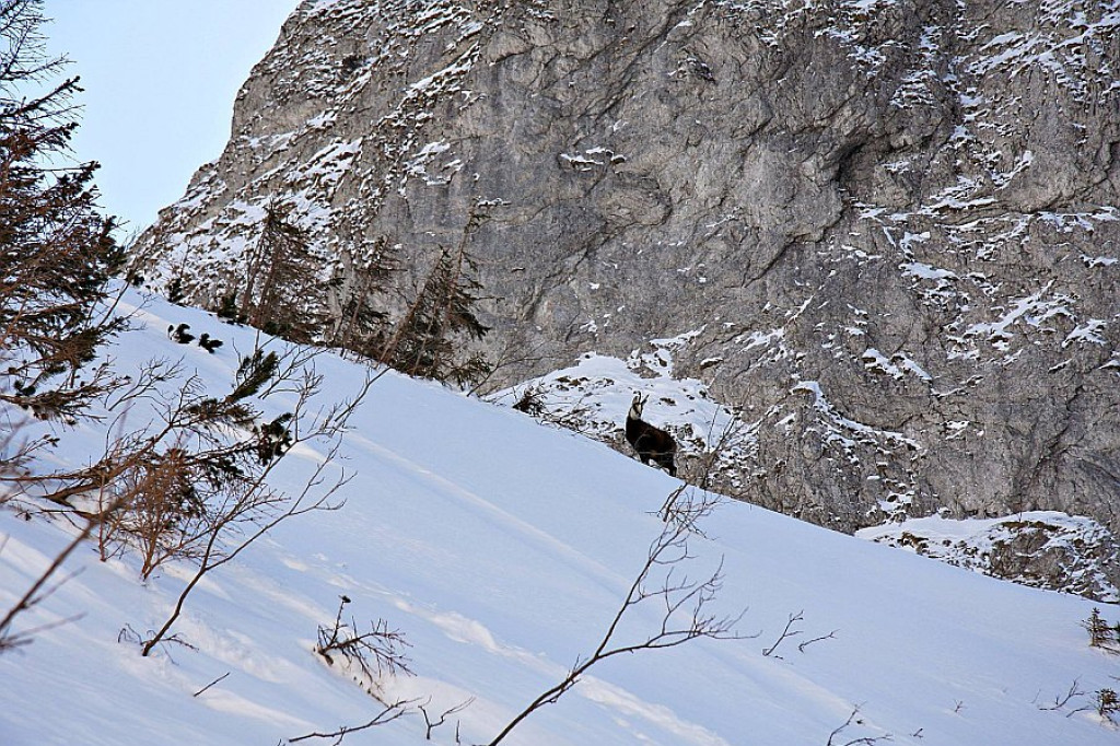 Giewont i Czerwone Wierchy w ostatnim dniu zimy