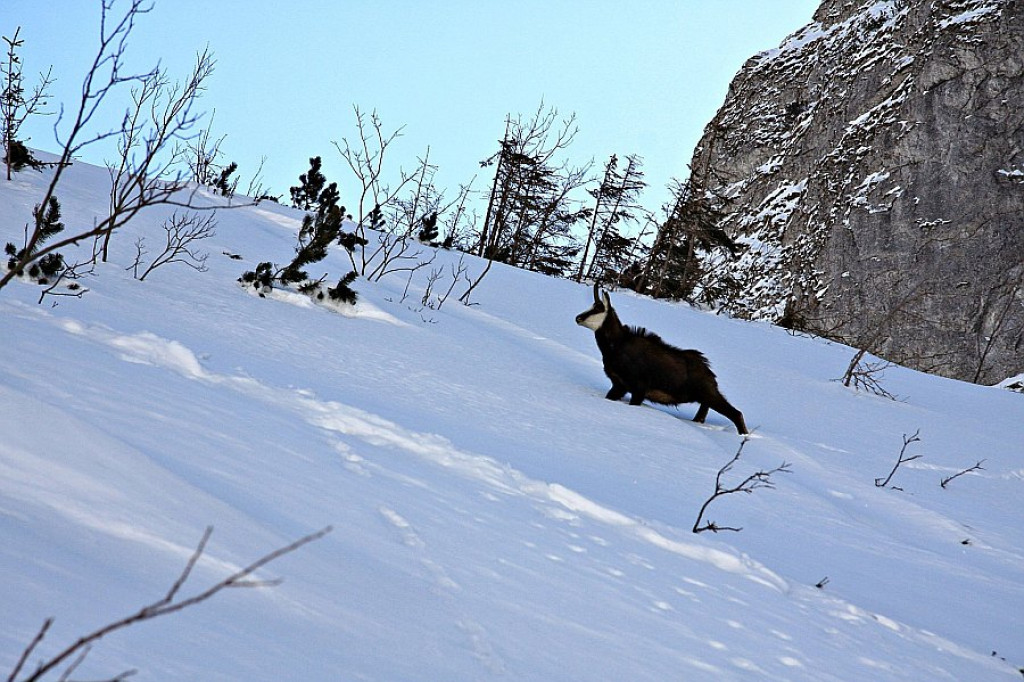 Giewont i Czerwone Wierchy w ostatnim dniu zimy