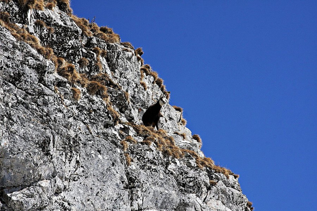 Giewont i Czerwone Wierchy w ostatnim dniu zimy