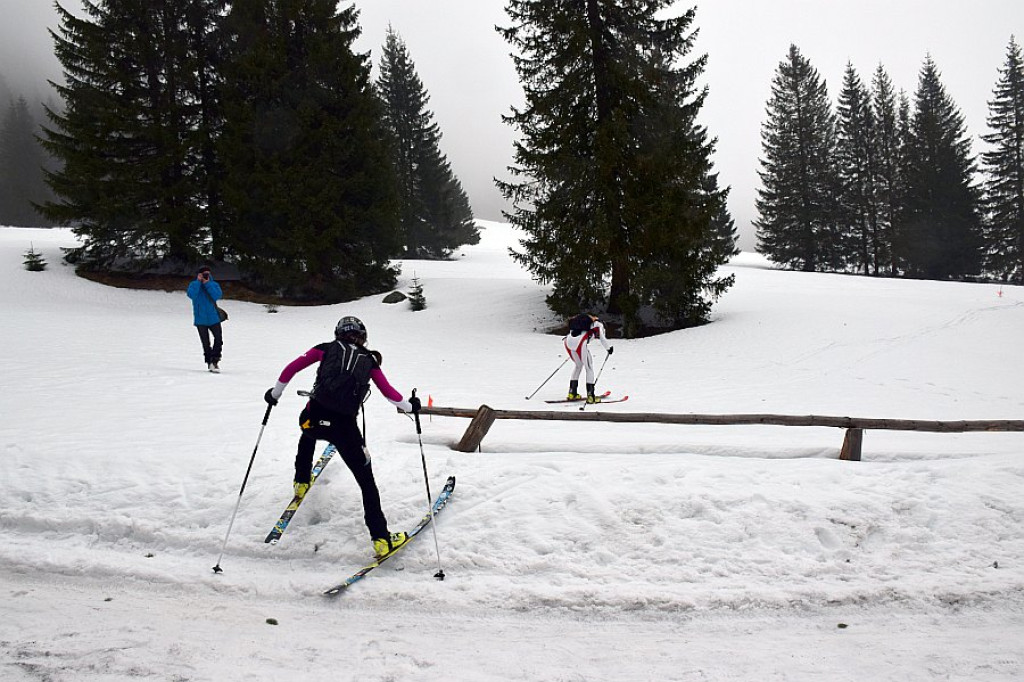 Puchar KW i SN PTT Zakopane im. J. Oppenheima i Puchar Śnieżnej Pantery
