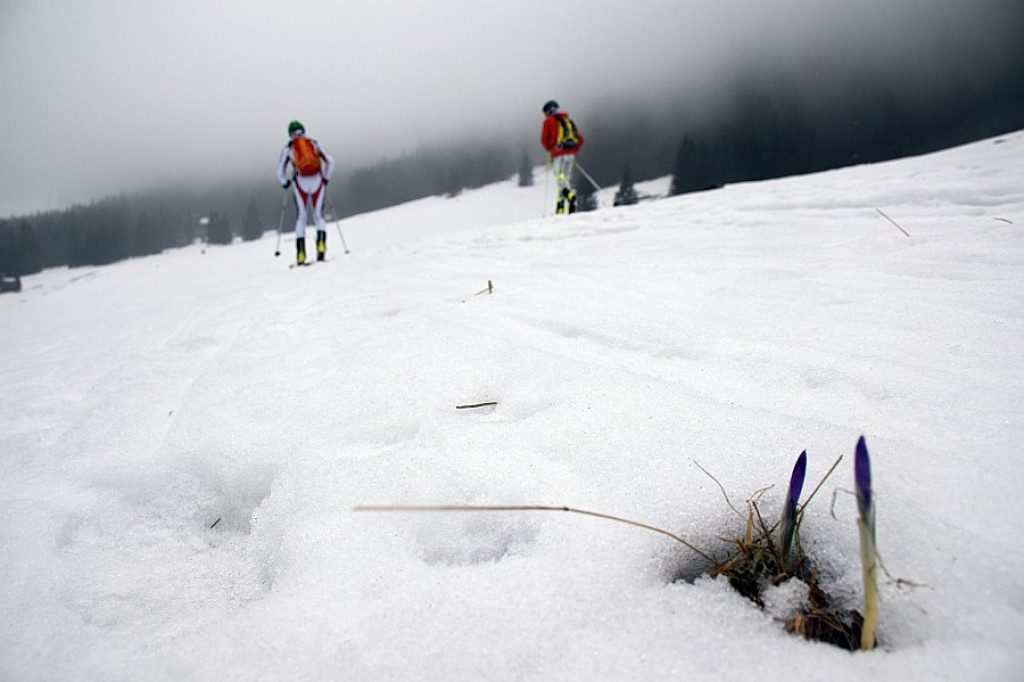 Puchar KW i SN PTT Zakopane im. J. Oppenheima i Puchar Śnieżnej Pantery