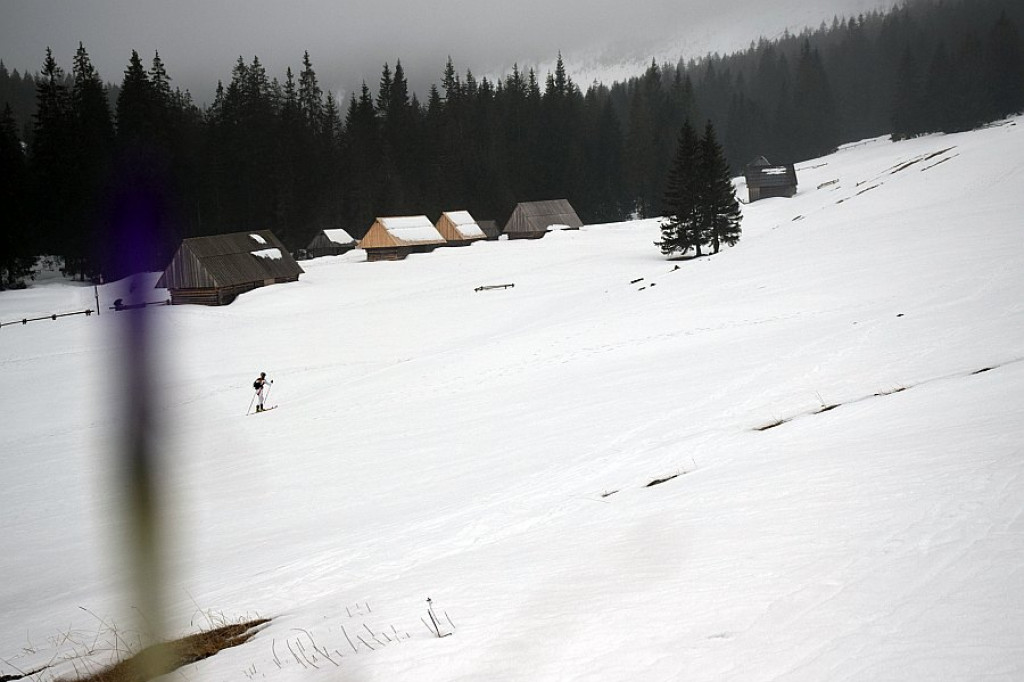 Puchar KW i SN PTT Zakopane im. J. Oppenheima i Puchar Śnieżnej Pantery